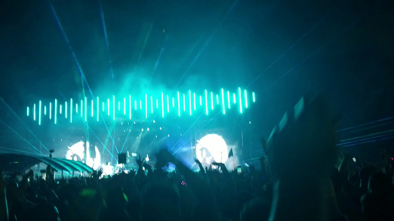 EZOO 2018