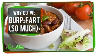 Why Do We Burp and Fart (So Much)?!