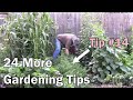 24 more gardening tips that any gardener can use  beginner or experienced