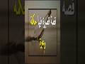قصة قصيرة فيها حكمة و عبرة 4 