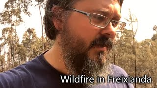Wildfire in Freixianda