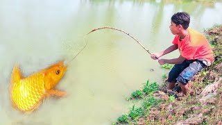 Fishing Video || The fun of hook fishing in the village pond is different || Fish catching trap