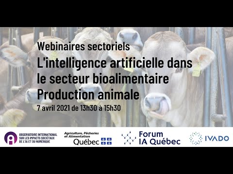 Vidéo: L'intelligence Artificielle A été Comparée Aux Animaux - Vue Alternative