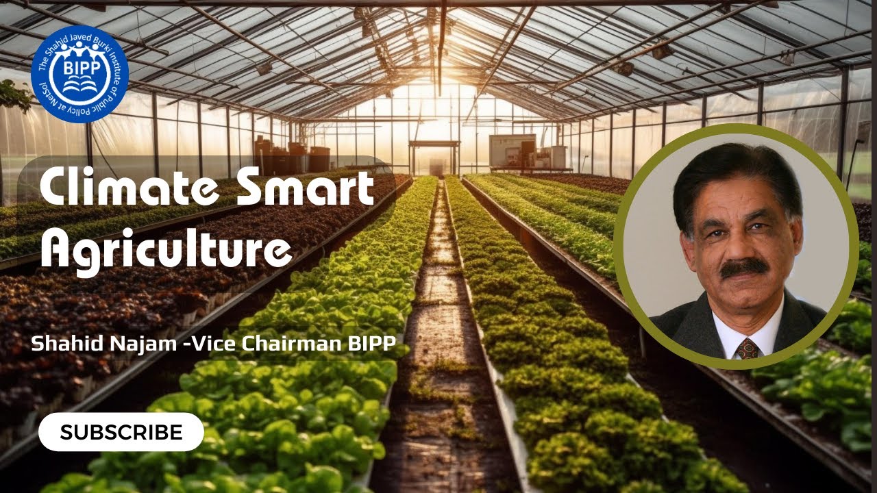 Unleashing the Power of Climate-Smart Agriculture