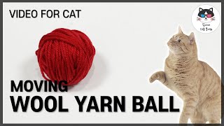 [CAT GAMES] show this video for cat! (moving red wool yarn ball)