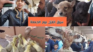 سوق الغزل  يوم الجمعة في بغداد((((Beautiful animals)))2022/3/25