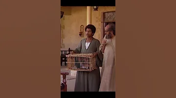 حكم شيخ العرب همام علي السارق 