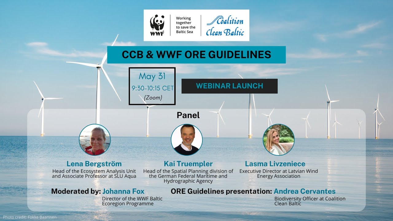 Coalition Clean Baltic and WWF webinar on offshore renewable energy in ...