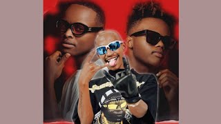 LeeMckrazy & TNK MusiQ - Skelem