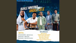 Illizwi Lenkosi (feat. Sboniso Mkhize) (Live)