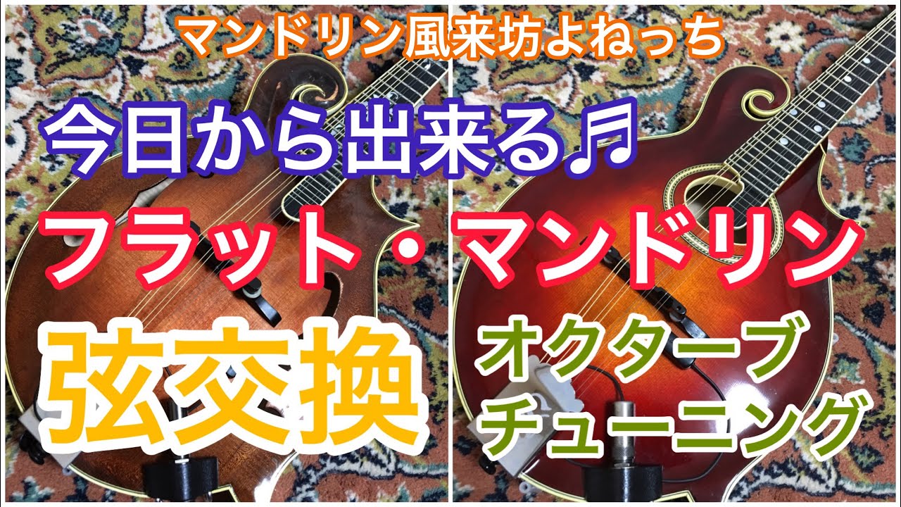 フラットマンドリン マーチン1970年代 要ピックガード交換