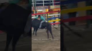 Rodeo - Matagalpa Montadera de toros #Rodeo #Matagalpa #2023