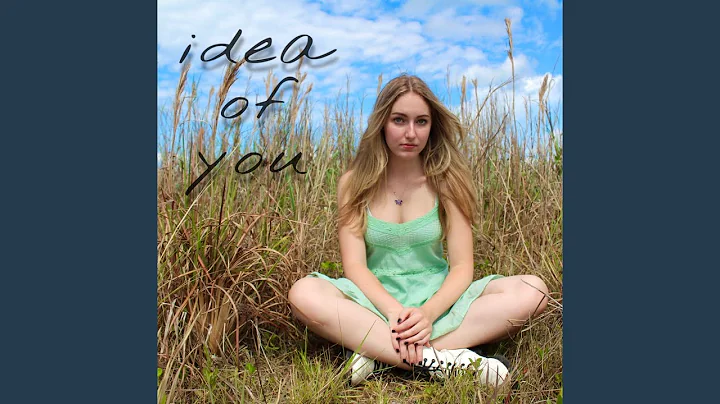 Idea of You
