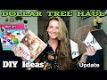 Dollar Tree Haul | Sharing DIY Ideas| Trying Products/ Update: March 17