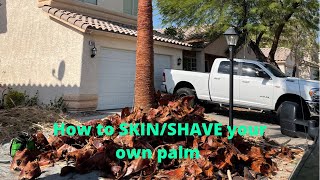 Famous How to PROPERLY skin a palm (and the tools you'll need) Net Worth