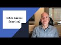 What Causes Echoism?