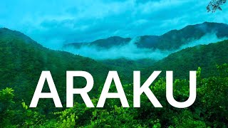 Araku Full Tour | Telugu | Plan and Budget | Top Tourist places | Ap Tourism |#araku information#ap.