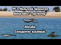 РР3. Нильский промысел - Протоптер мраморный. Аба-аба. Синодонтис вуалевый.