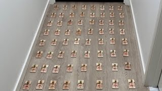 I Set A 100 Traps At My Uncle’s Bedroom Door🧀