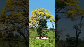 cultivando la tierra 💪🏻💪🏻💪🏻