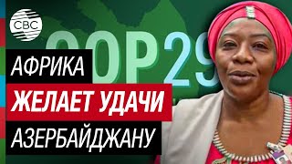 Африканские Нпо Подчеркивают Важность Проведения Cop29 В Баку