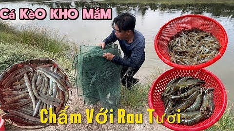 Trúng Mánh Đậm Cá Kèo Và Tôm khi Thăm Mấy Cái Mười Hai Cửa / Tập 451