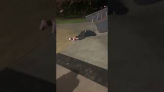 IMG 4624