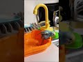 初めての水浴びインコ #shorts