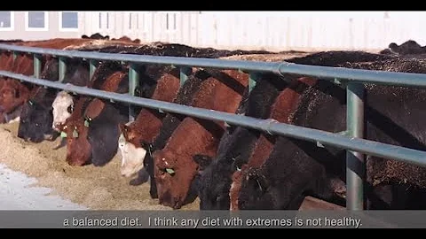 The Role of Beef in a Healthy Diet with Dr. Erin C...