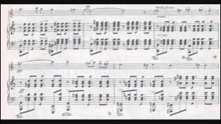 Johan Halvorsen - Air Norvégien