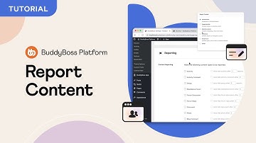 How to allow Members to Report Content | BuddyBoss Platform