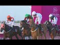RM 39  Al Uqda Race 4 -  Mesaieed Cup
