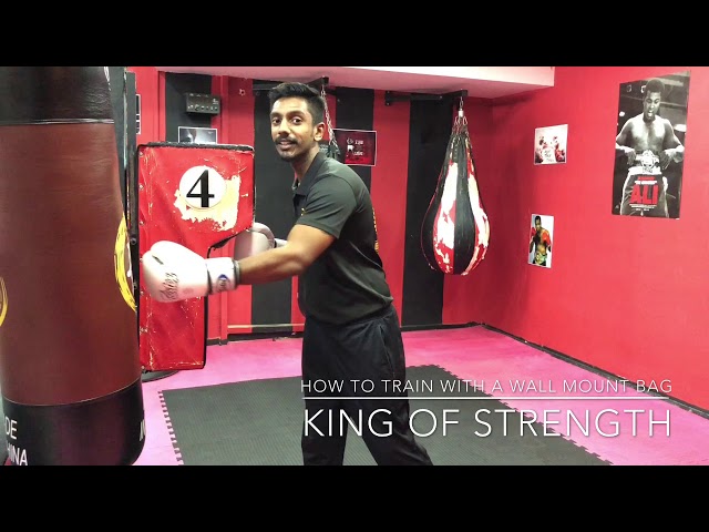 TITLE Boxing Wall Mount Menace Training Bag: Best Wall Mounted Punching Bag