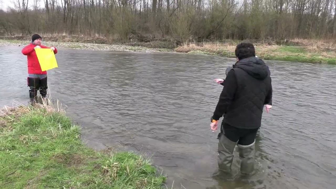 PLASTIK W RZEKACH (Naukowiec w terenie - wiedza o przyrodzie z pierwszej ręki); odcinek dla DZIECI