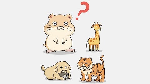 Brain Out 2 Level 1 Find the biggest animal Walkthrough Solution