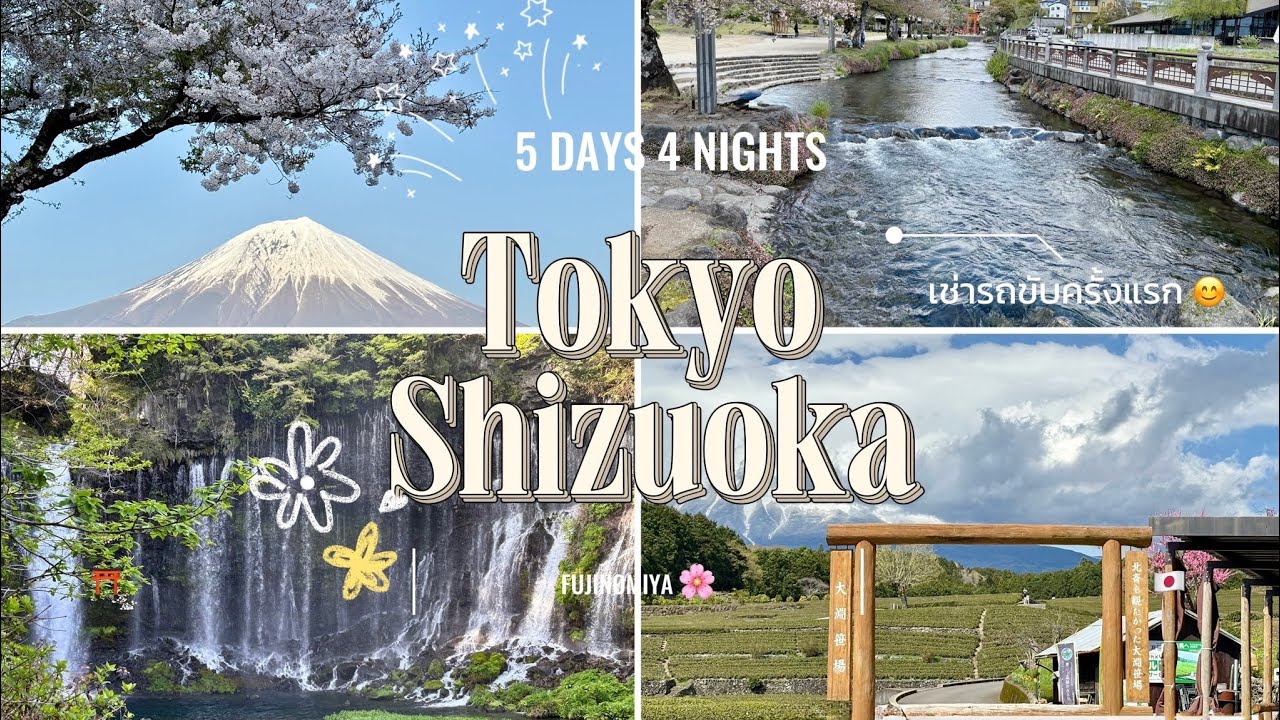 🇯🇵 Vlog EP. 33 | เช่ารถขับจาก Tokyo 💮 ไปเมือง Fujinomiya - Shizuoka 🍵