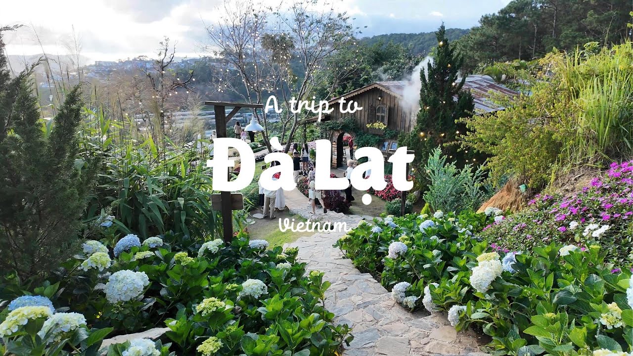 DALAT VLOG| Hành trình 5 ngày ở thành phố mộng mơ| Hoa trong rừng, Săn mây, Cà phê