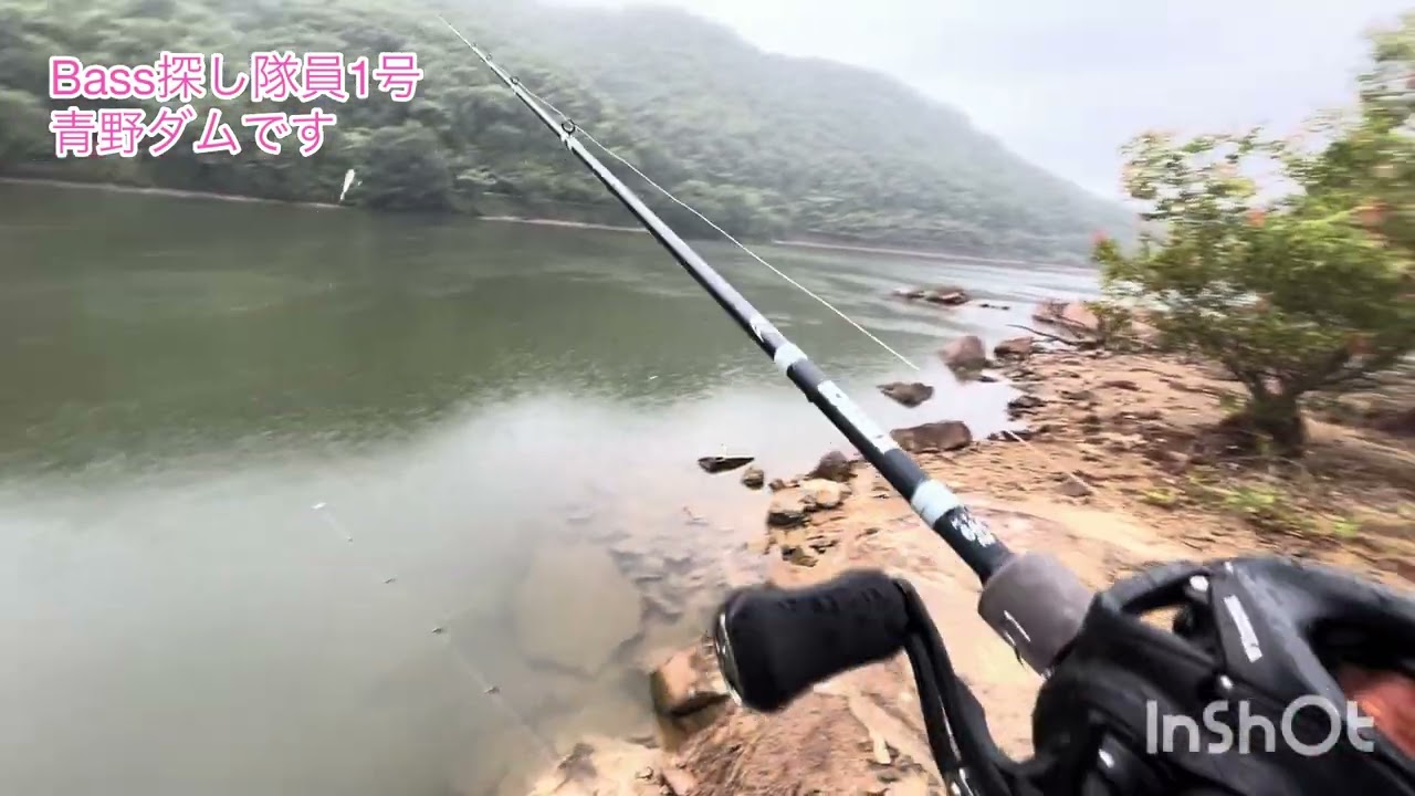 青野ダムです#8月12日#青野ダム#三田市#Bassfishing#バス釣り