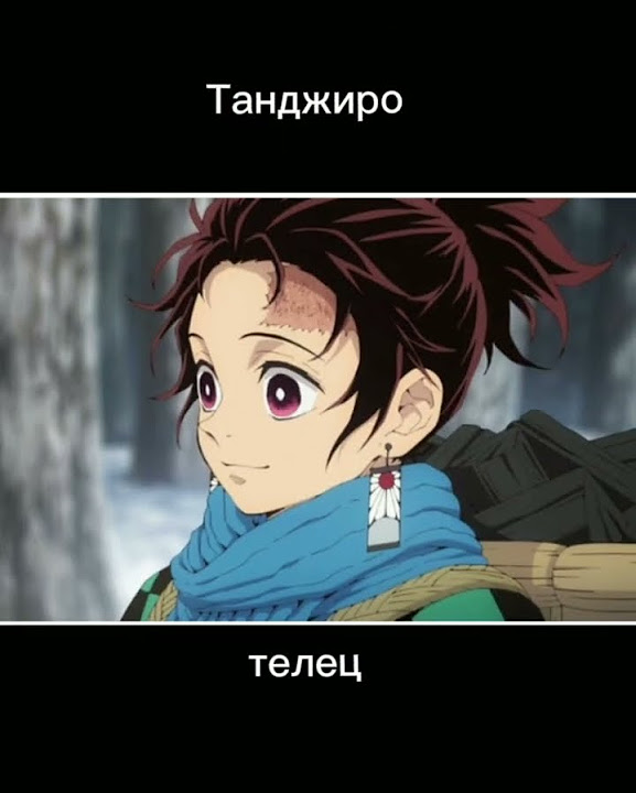 кто ты по знаку зодиака из крд #anime #клинок #телец #близнецы #шинобу ...
