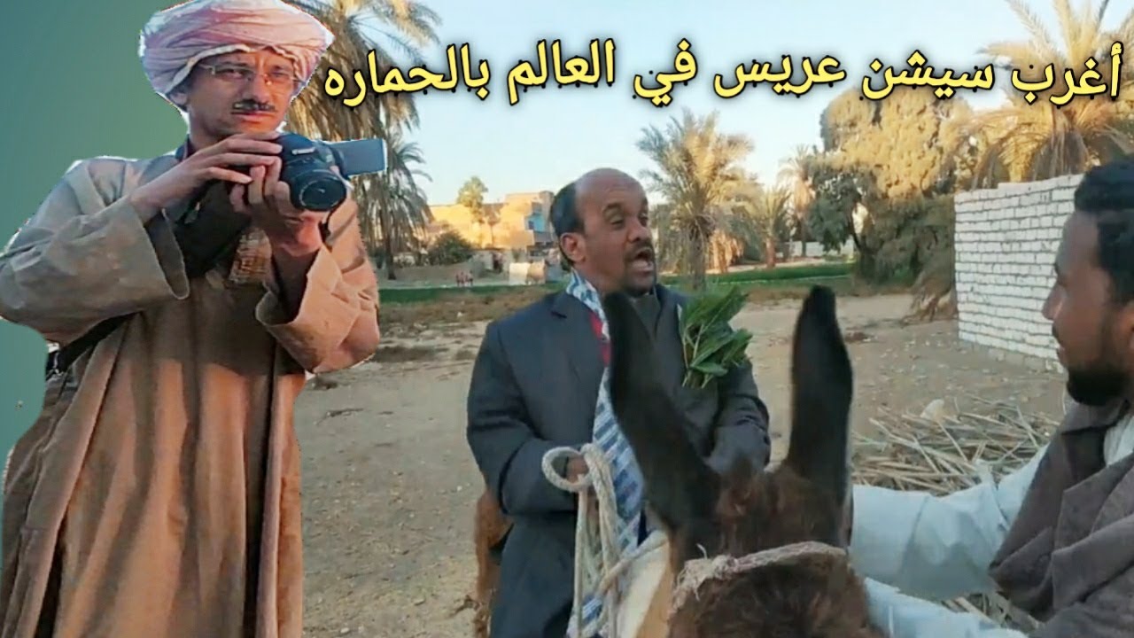 أغرب سيشن عريس رايح بالحماره/عم شوقي وسعيد الاسطوره/ضحك موت