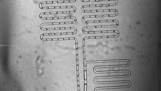 Droplet splitting and injection