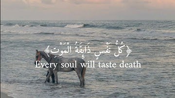 كل نفس ذائقة الموت بصوت القارئ عبد الرحمان مسعد🦋🤍/سورة العنكبوت✨️