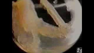 Spot anni '80 - Parmalat Santal succhi di frutta