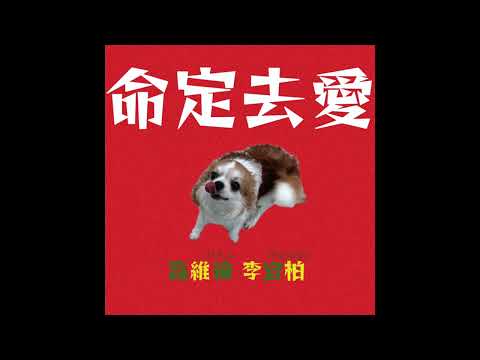 高維綸 M.Kao , 李宜柏PAULYBLEE - 命定去愛 (prod. aaron.h）