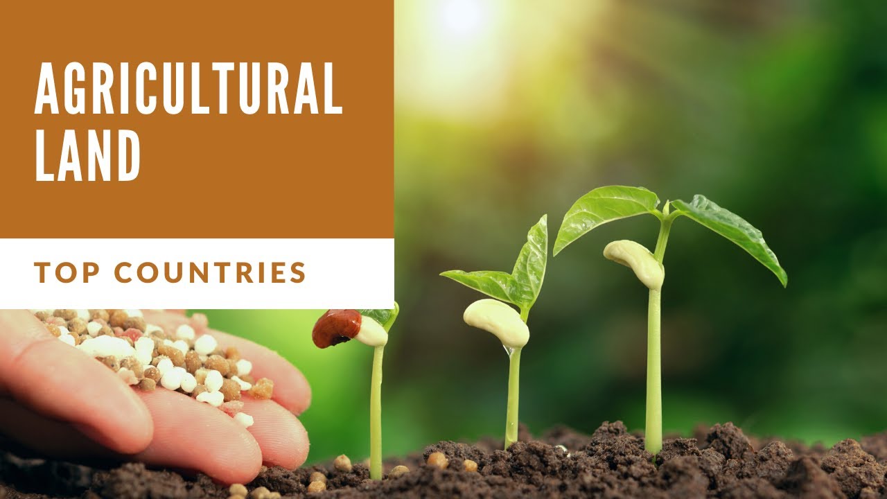 Agricultural Land Top 20 Countries (1961 2016) YouTube