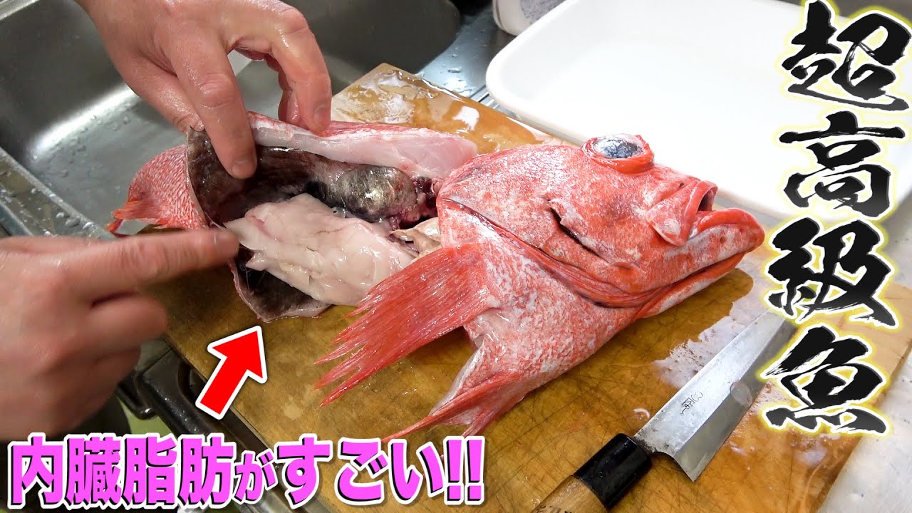 メヌケ はおいしい高級魚 アラもおいしいので見つけたら買って食べてみよう アコウダイ