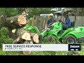 Uptick in tree services in SWMO