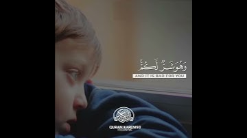 (وعسى أن تكرهوا شيئا وهو خير لكم) القارئ محمد النقيب