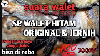 SP. WALET HITAM ORI.