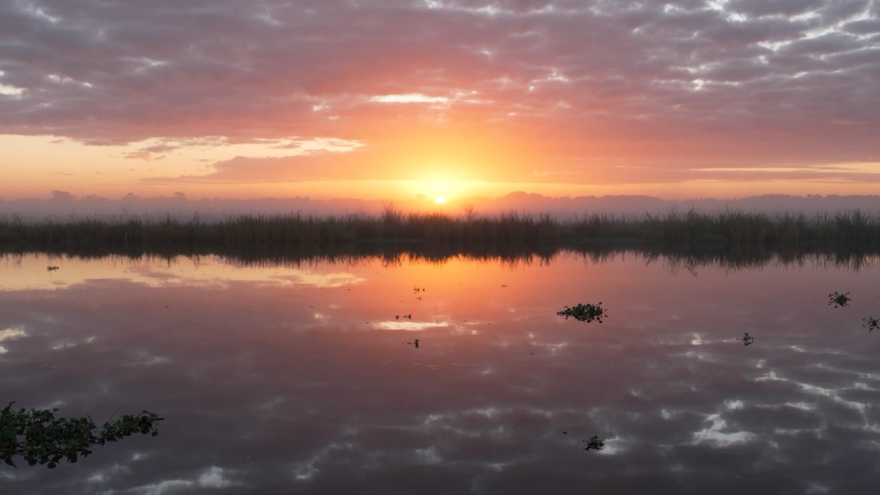 Nature  | LPB 50
